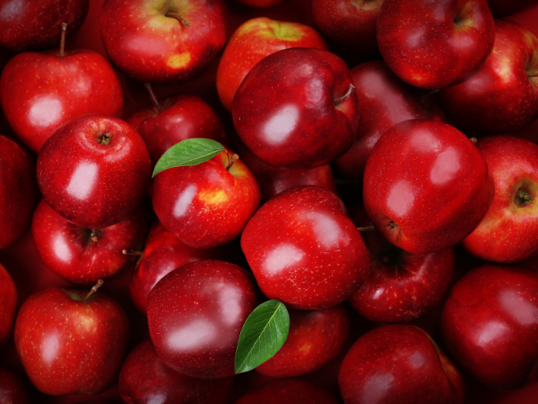 Gala Apples