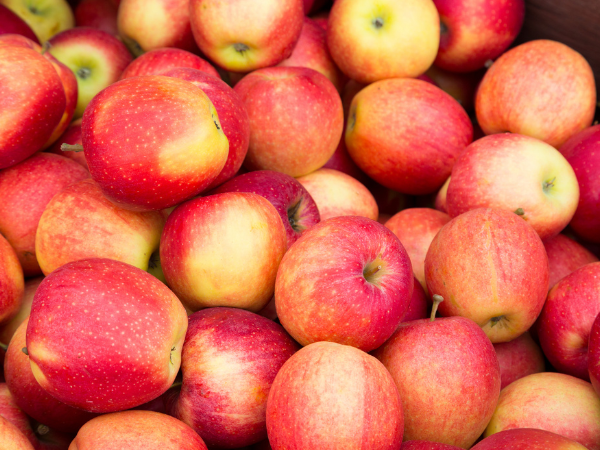 Fuji Apples