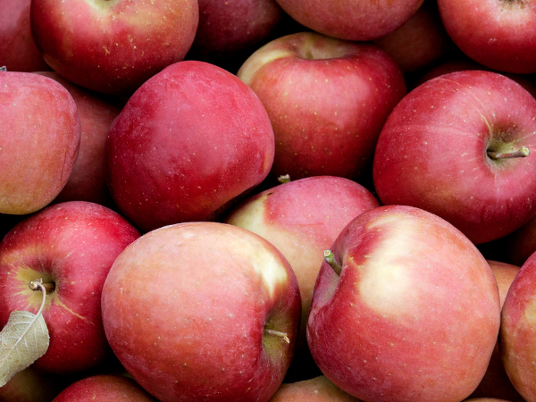 Pink Lady Apples